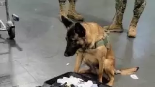 La sustancia decomisada fue confirmada como metanfetamina