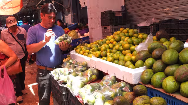 El Estado registró más de 100 mil ton en el 2023, lo que valió unos 19.6 millones de dólares en ventas internacionales