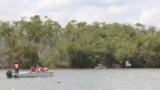  Voluntarios protegen los manglares de Yucatán para conmemorar el Día de la Conciencia Ambiental