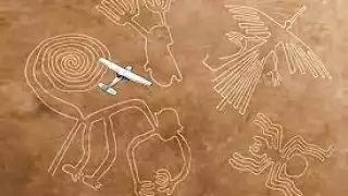 La avioneta se desplomó y varios murieron