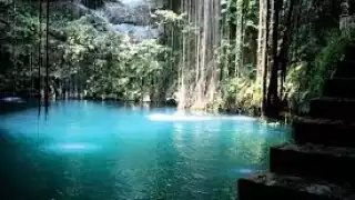 Los cenotes son uno de los mayores atractivos de la Península de Yucatán