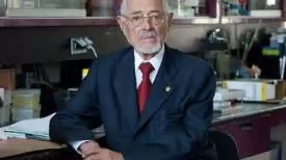 Foto: Internet