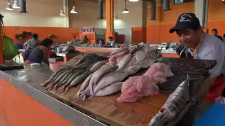 Captura del pez sierra salva de la crisis a pescadores de Campeche