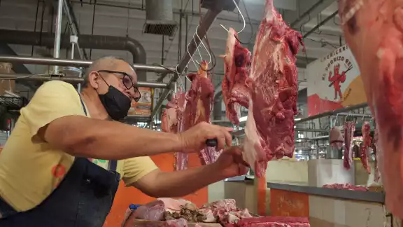 Comerciantes del mercado principal no creen que afecte la presencia de gusano barrenador en Candelaria Comerciantes del mercado principal no creen que afecte la presencia de gusano barrenador en Candelaria