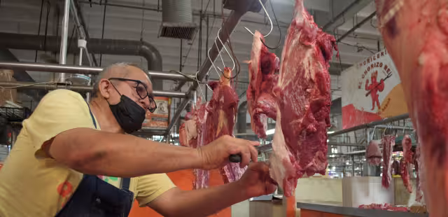 Comerciantes del mercado principal no creen que afecte la presencia de gusano barrenador en Candelaria