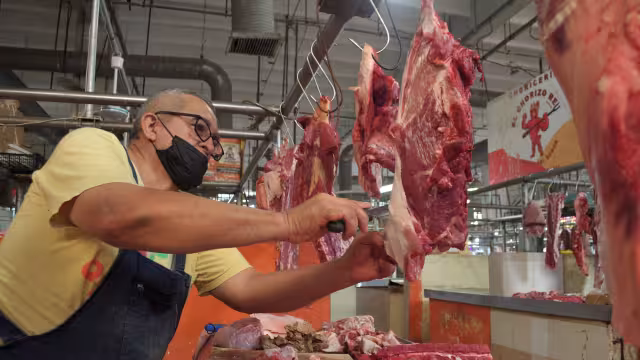 Comerciantes del mercado principal no creen que afecte la presencia de gusano barrenador en Candelaria