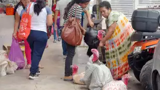 Navidad en riesgo; precio del pavo podría incrementar