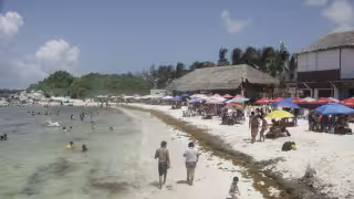 Playas de Cancún registraron disminución considerable de sargazo