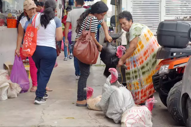 Mercado Principal mantiene precios del pavo entre 90 y 100 pesos pese a incertidumbre