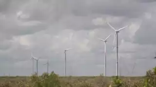   Autorizan construir el sexto parque eólico en   Yucatán: se ubicará en Panabá y abastecerá a 150 mil hogar