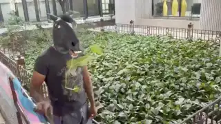 Joven que se identifica como caballo impulsa Ley Therian en Monterrey