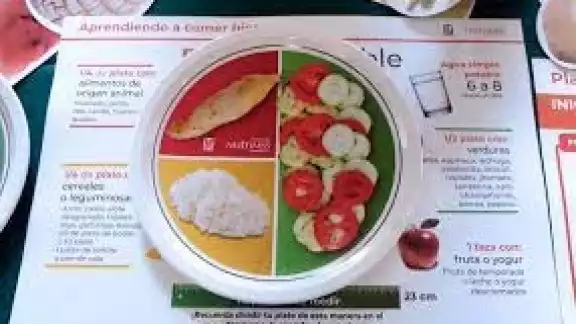 El IMSS hace un llamado a evitar la práctica de dietas alternativas difundidas en internet y redes sociales. El IMSS hace un llamado a evitar la práctica de dietas alternativas difundidas en internet y redes sociales.