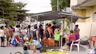 En abril se contabilizaron 218 empleadas registradas en el IMSS, para el pasado octubre, se reportó que ya eran 413