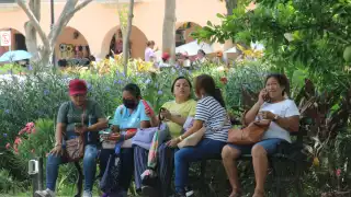 Arrasan las estafas telefónicas en Yucatán: más de 7 mil personas han sido engañadas por falsos ejecutivos bancarios