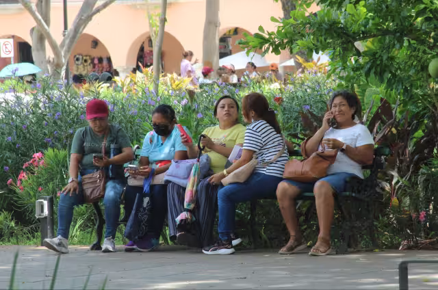 Condusef reporta que las modalidades incluyen suplantación de bancos y engaños para robar datos