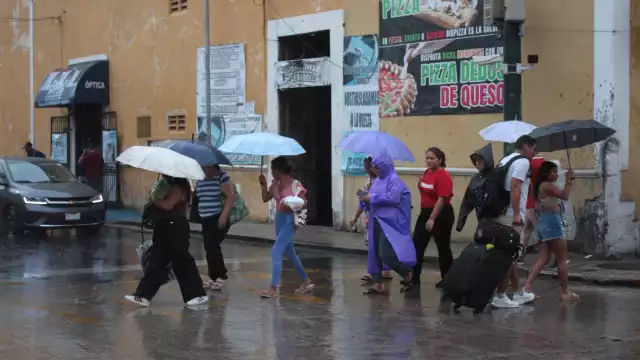 A un mes de que concluya el periodo 2025, Procivy subraya que la clave es permanecer informados