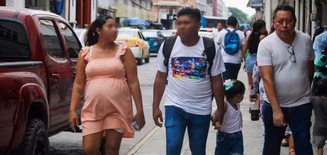 La asociaciónYaxché mantiene un seguimiento en municipios con mayor incidencia, como Halachó, Progreso, Umán y Kanasín