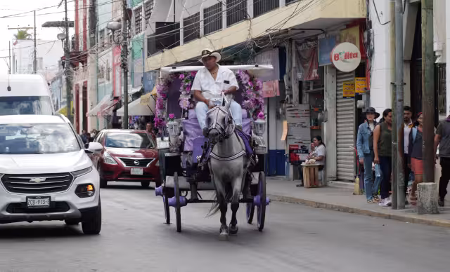 Caleseros no pueden circular antes de las 16:00 horas en Mérida