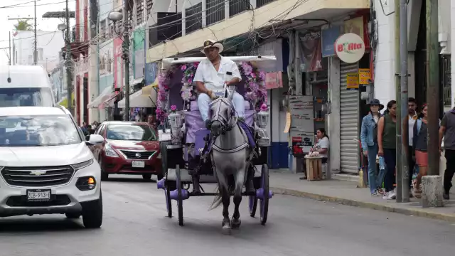 Caleseros no pueden circular antes de las 16:00 horas en Mérida