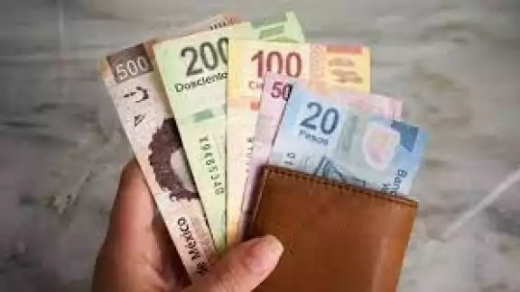 El reparto de utilidades es un derecho que tienen todos los trabajadores de planta o eventuales; El reparto de utilidades es un derecho que tienen todos los trabajadores de planta o eventuales;