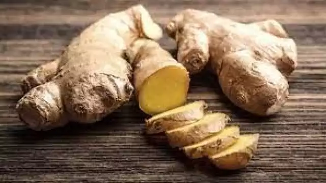 Este increíble tallo se ha utilizado desde tiempos milenarios para la medicina natural