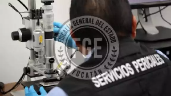 Según se informó, la agresión ocurrió el pasado 7 de enero, en un predio ubicado en la citada colonia Según se informó, la agresión ocurrió el pasado 7 de enero, en un predio ubicado en la citada colonia