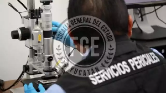 Según se informó, la agresión ocurrió el pasado 7 de enero, en un predio ubicado en la citada colonia