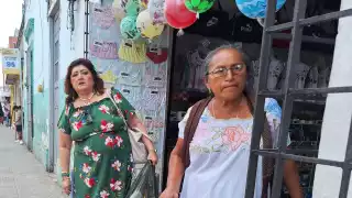Mujeres de Yucatán   enfrentan desigualdad salarial: ganan    menos que los hombres pese a desempeñar las mismas funciones 