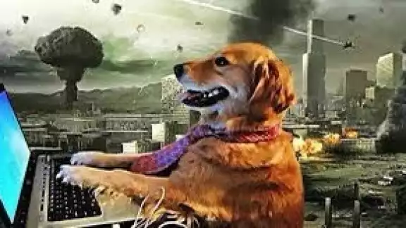 Los memes no se hicieron esperar y comenzaron a llegar de todo tipo
