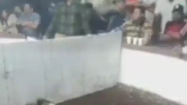 Foto: Alejandro Collí