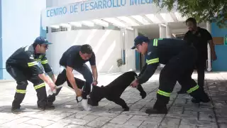 Listos 68 refugios temporales en Mérida para la Temporada de Huracanes 2025