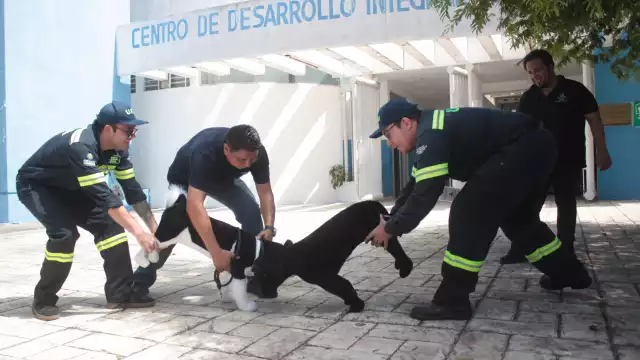 El Ayuntamiento de Mérida reporta listos 68 refugios temporales en la ciudad y sus comisarías