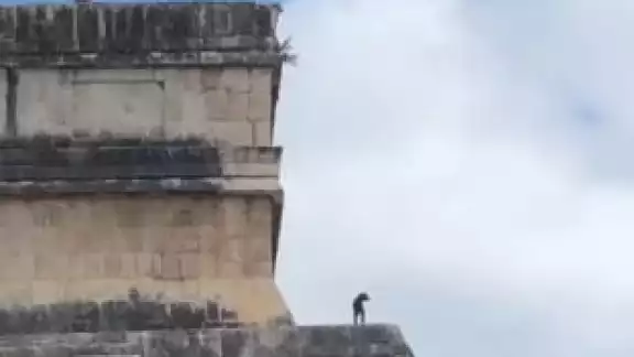 Perrito es grabado en TikTok contemplando el paisaje en Chichén Itzá Perrito es grabado en TikTok contemplando el paisaje en Chichén Itzá