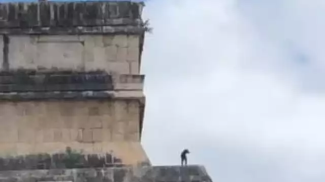 Perrito es grabado en TikTok contemplando el paisaje en Chichén Itzá
