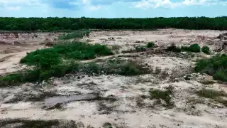 Profepa detecta ecocidio en Umán: Clausura un predio  por la deforestación de selva 