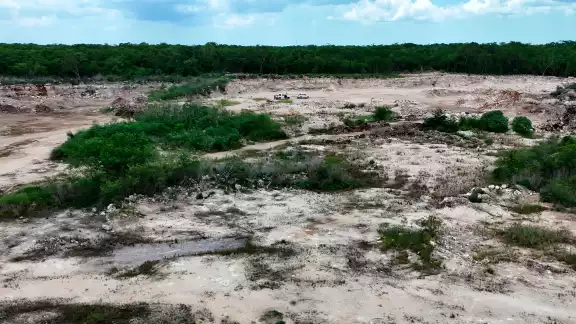La vegetación removida corresponde a un ecosistema de selva mediana caducifolia