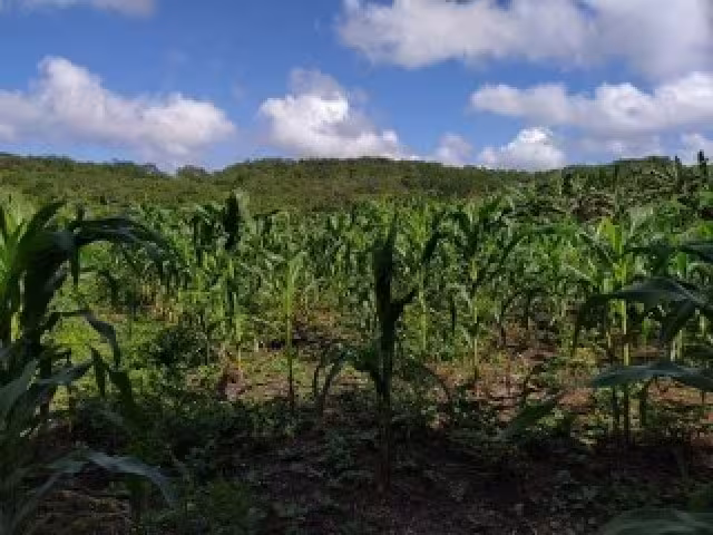 El exrector de la universidad, Francisco Rosado May, dijo que el galardón, entregado el 22 de mayo, es el resultado de miles de años de buenas prácticas
