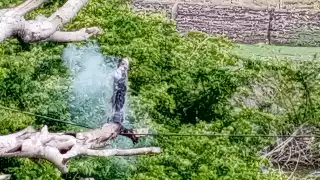 Cae poste de la CFE y deja sin luz a 80 familias en Chilam Balam, Champotón