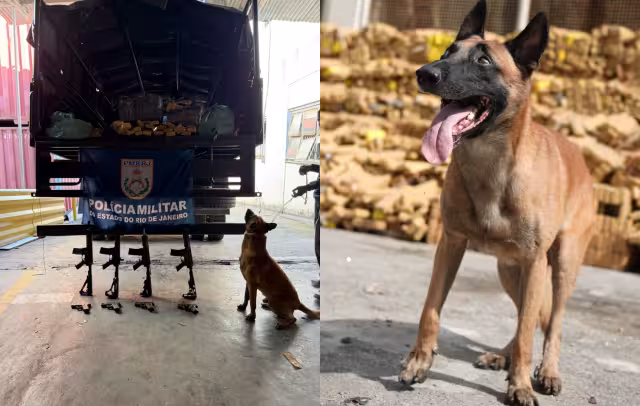 Hulk fue el pilar de la histórica incautación de drogas en Brasil.