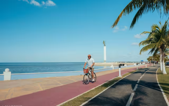 Malecón recibirá mejoras en movilidad, alumbrado y reforestación