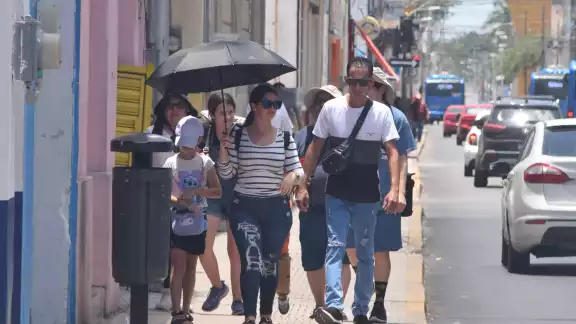 Las temperaturas se sienten hasta 10° más en zonas sin vegetación. Las temperaturas se sienten hasta 10° más en zonas sin vegetación.