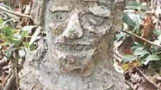 Se busca hacer un museo en el Palacio Municipal de Playa del Carmen para exhibir las piezas arqueológicas