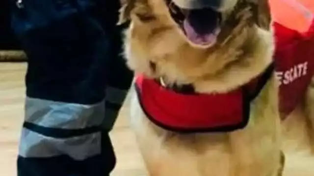 Nahla se reporta aún con vida