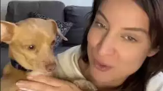 Su mascota cuenta con certificado de apoyo emocional