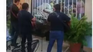 'Los Trío' llevan serenatas a los habitantes de Hunucmá