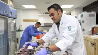 IMSS Yucatán cierra el año con récord de consultas y prevé la apertura de nuevas clínicas en 2026