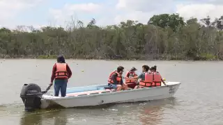 Centro de Investigación Científica de Yucatán impulsa proyecto para la recuperación de manglares financiado por la ONU