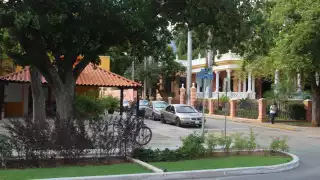 Empresarios urgen cambios viales en Paseo de Montejo en Mérida para proteger la actividad comercial