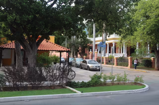 Muchos negocios se ven afectados por falta de estacionamiento.