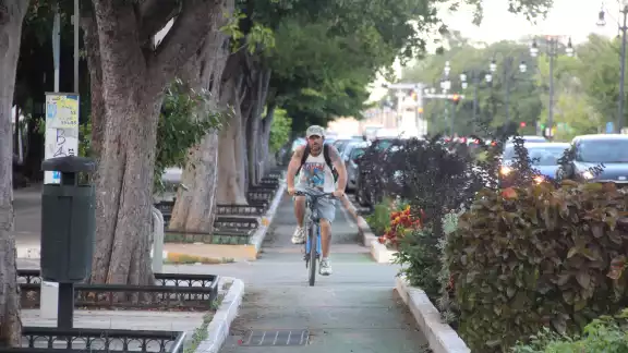 La Asociación Cicloturixes solicita al Gobierno reconsiderar la intervención en Paseo de Montejo La Asociación Cicloturixes solicita al Gobierno reconsiderar la intervención en Paseo de Montejo